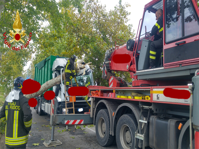 Ore Agg Caduta Albero Su Camion Tra Teverola Smcv E Marcianise