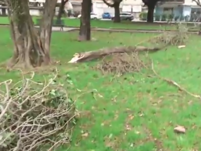 Video. Caserta. Vento forte, danni anche in piazza Cattaneo